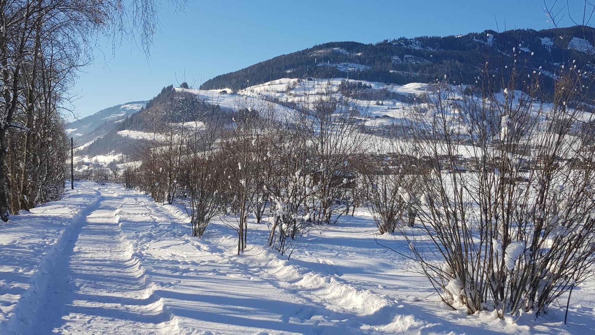 Chalet Am Park Пізендорф Номер фото
